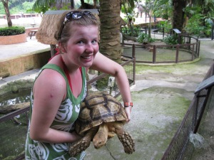 I dyreområdet kom vi forbi en stor skildpadde...